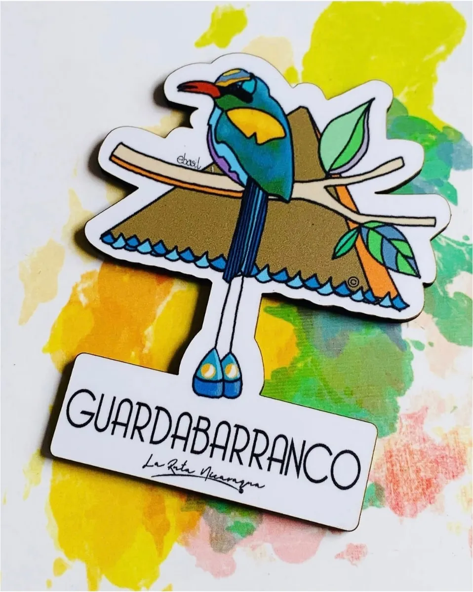 A magnet of the Guardabarranco, the national bird, on a watercolor wash