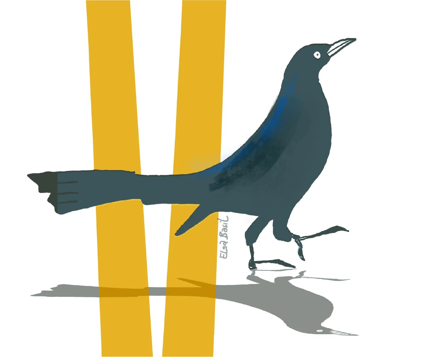 A dark grackle stepping between two tall yellow stripes, its shadow trailing behind